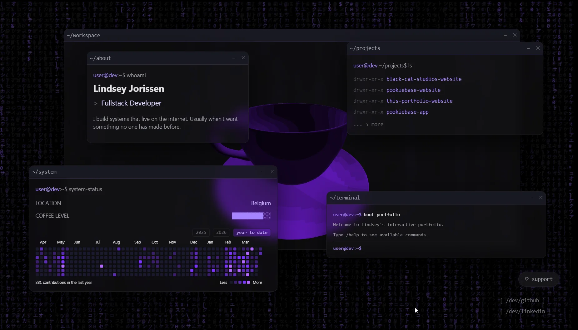 Lindsey's Portfolio website