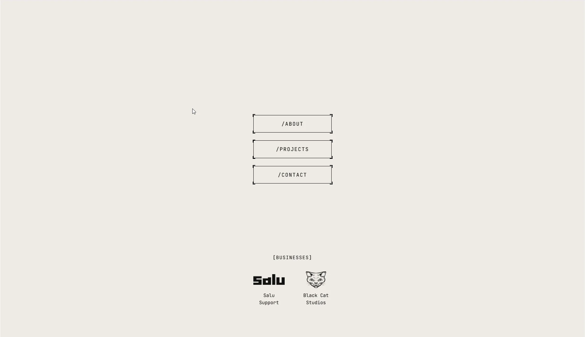 Sander's Portfolio desktop screenshot 1
